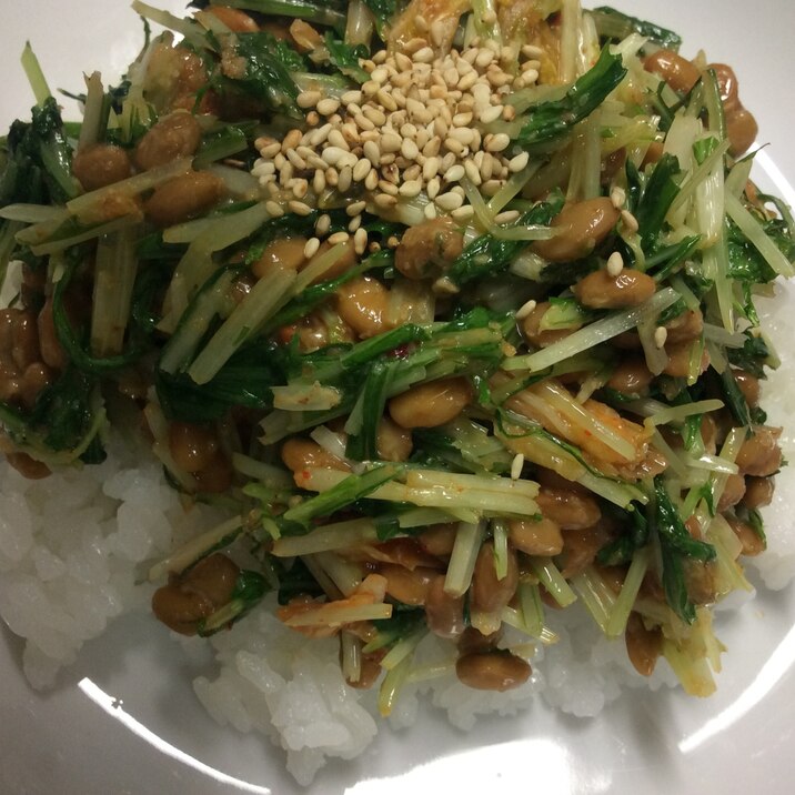 納豆キムチ水菜ごま丼